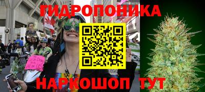 spice Кинель