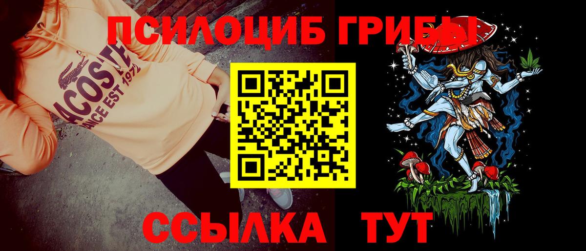 Псилоцибиновые грибы Magic Shrooms  Галлюциногенные грибы ЛСД  Вход с VPN  Чернушка 